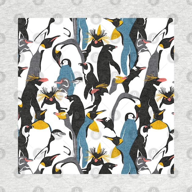 We love penguins // black white grey dark teal yellow and coral type species of penguins (King, African, Emperor, Gentoo, Galápagos, Macaroni, Adèlie, Rockhopper, Yellow-eyed, Chinstrap) by SelmaCardoso